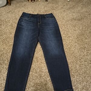 American Eagle Outfitters Dark Indigo Skinny Jeans
